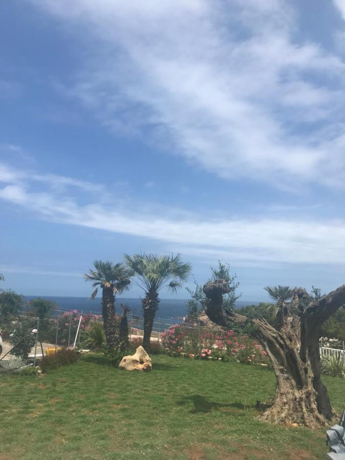 Cocciu D'Amuri Terrasini Εξωτερικό φωτογραφία