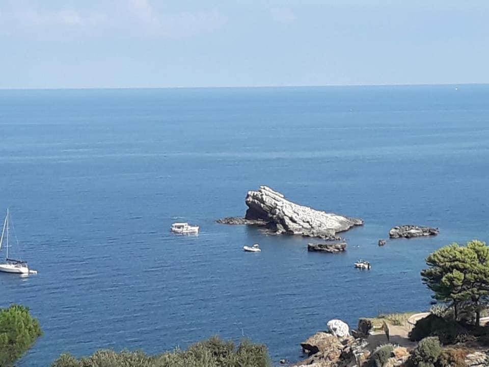 Cocciu D'Amuri Terrasini Εξωτερικό φωτογραφία