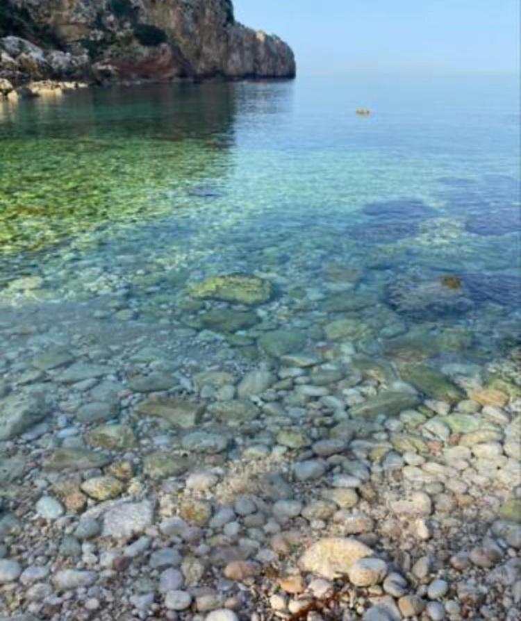 Cocciu D'Amuri Terrasini Εξωτερικό φωτογραφία